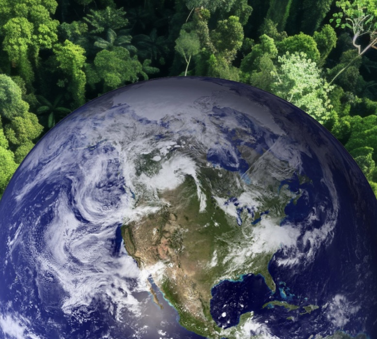 อนาคตของวัสดุก่อสร้างที่ Eco-Friendly